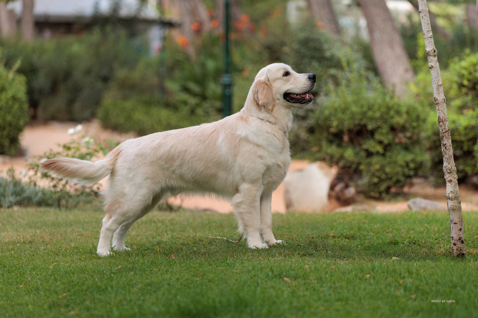 Image - Serendipity Love me Like you do “Magic”