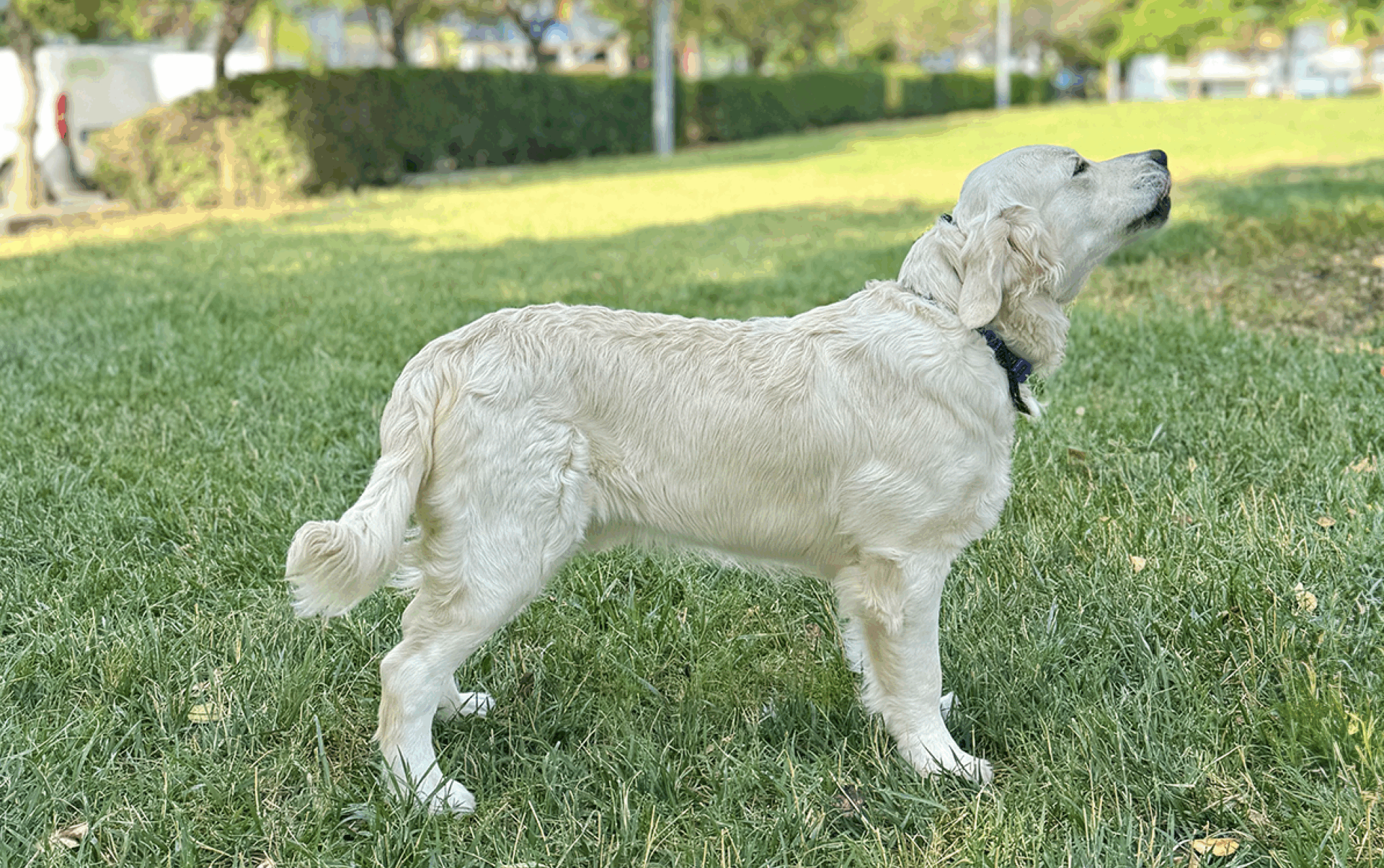 Image - Soul Symphony Poseidon ‘Thunder’